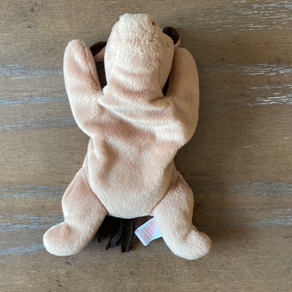 Original “Derby” TY Beanie Baby - Picture 4 of 10